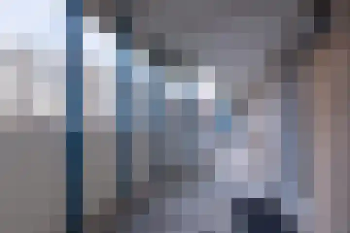 Zadkinerade 11 Capelle aan den IJssel thumbnail 30