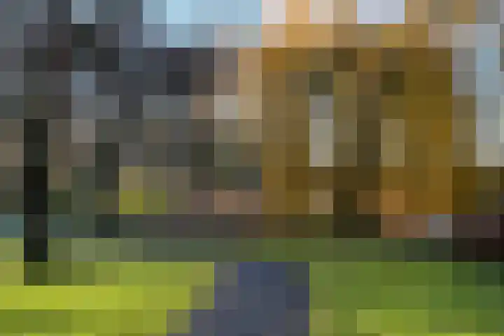 Zadkinerade 11 Capelle aan den IJssel thumbnail 37