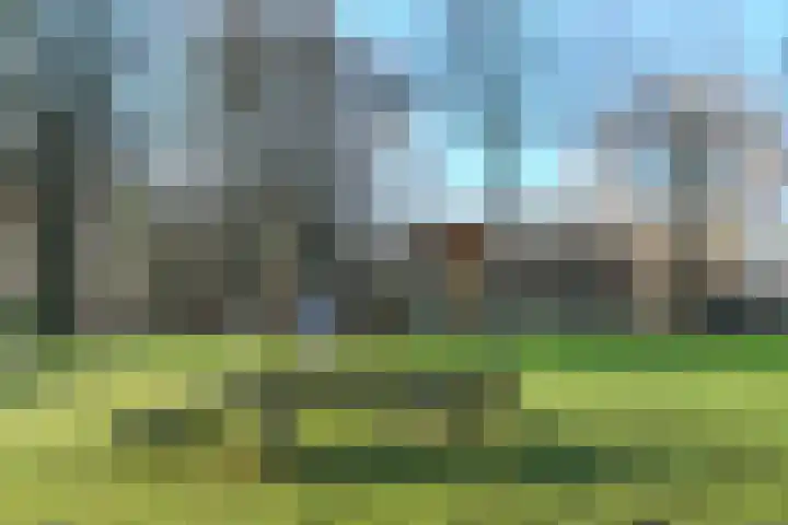 Zadkinerade 11 Capelle aan den IJssel thumbnail 38