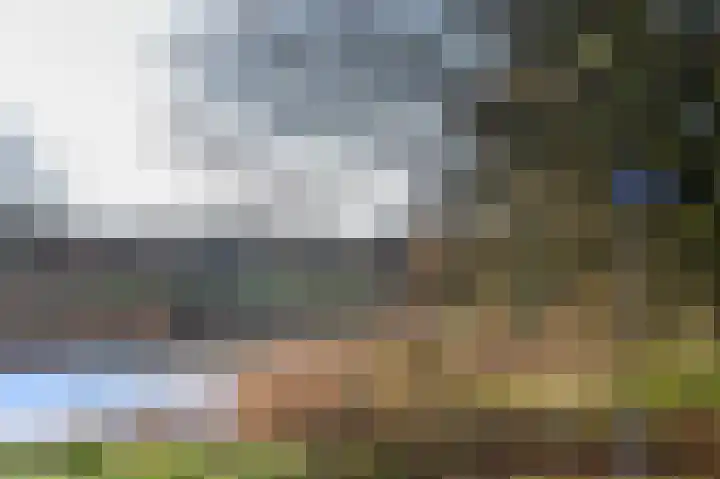 Zadkinerade 11 Capelle aan den IJssel thumbnail 39