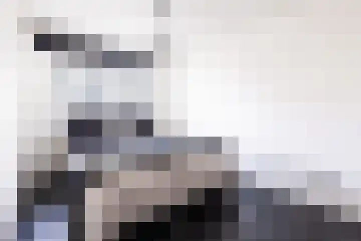 Zadkinerade 11 Capelle aan den IJssel thumbnail 4