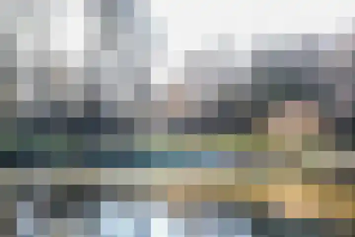 Zadkinerade 11 Capelle aan den IJssel thumbnail 41