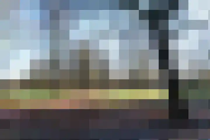 Zadkinerade 11 Capelle aan den IJssel thumbnail 42