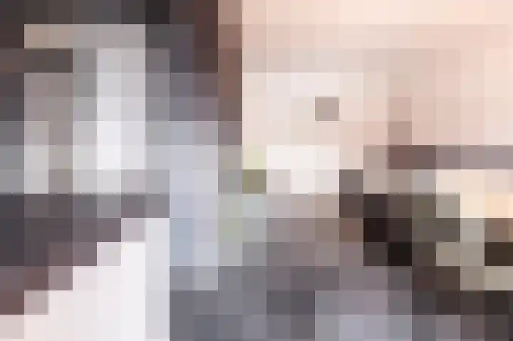 Zadkinerade 11 Capelle aan den IJssel thumbnail 9