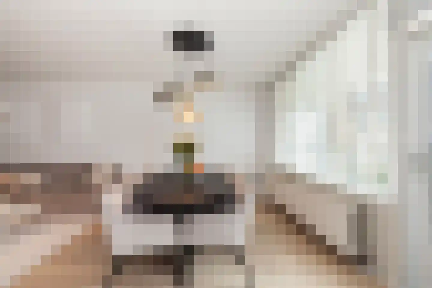Zadkinerade 17 Capelle aan den IJssel thumbnail 11