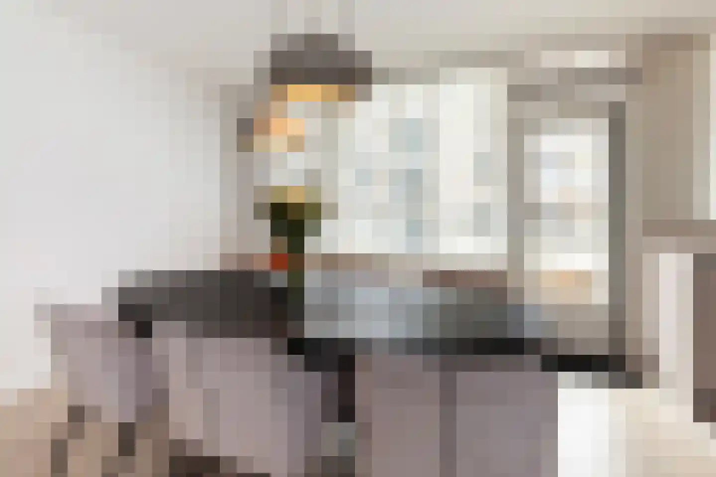 Zadkinerade 17 Capelle aan den IJssel thumbnail 12