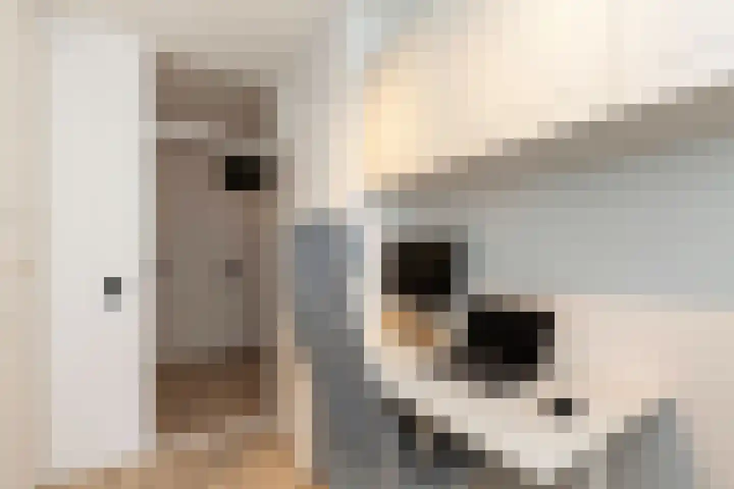 Zadkinerade 17 Capelle aan den IJssel thumbnail 18