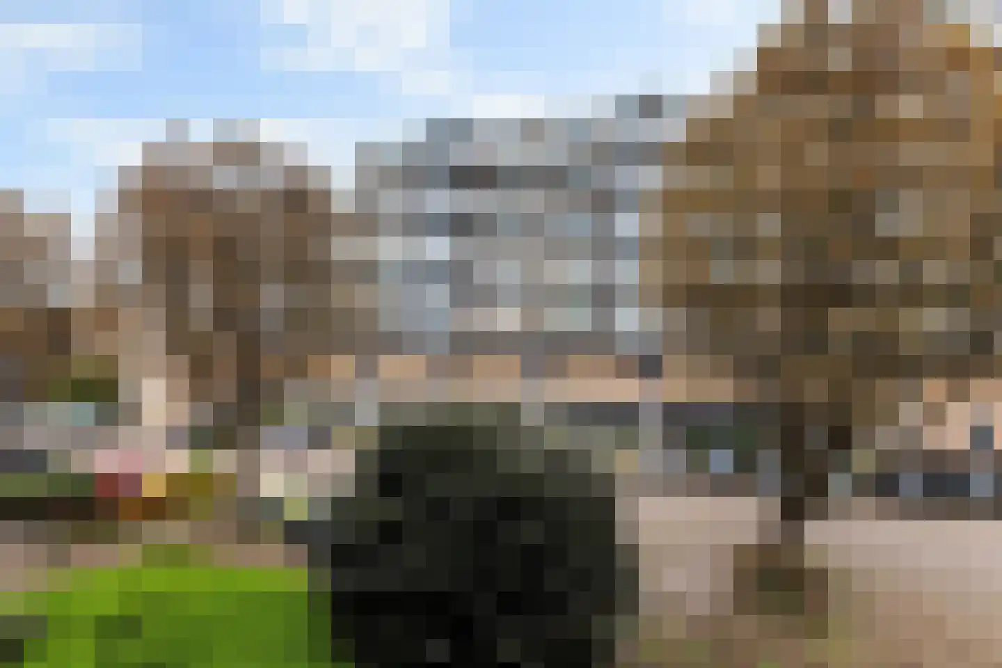 Zadkinerade 17 Capelle aan den IJssel thumbnail 30