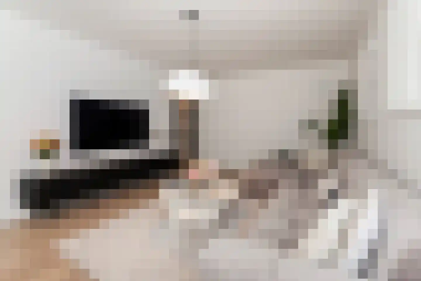 Zadkinerade 17 Capelle aan den IJssel thumbnail 9