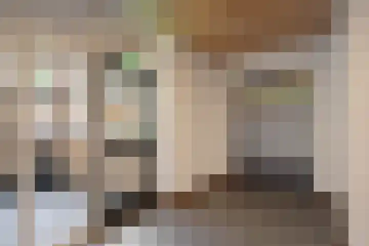 Zadkinerade 22 Capelle aan den IJssel thumbnail 10