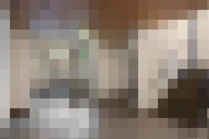 Zadkinerade 22 Capelle aan den IJssel thumbnail 11