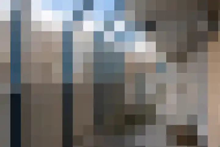 Zadkinerade 22 Capelle aan den IJssel thumbnail 12