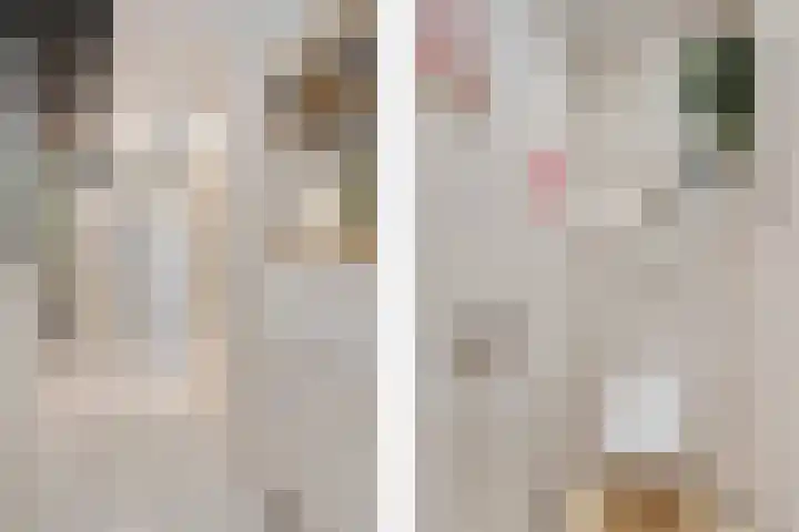 Zadkinerade 22 Capelle aan den IJssel thumbnail 13
