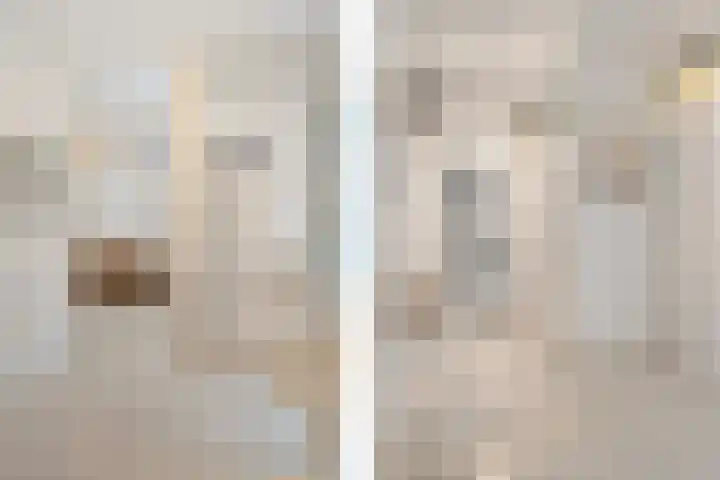 Zadkinerade 22 Capelle aan den IJssel thumbnail 14