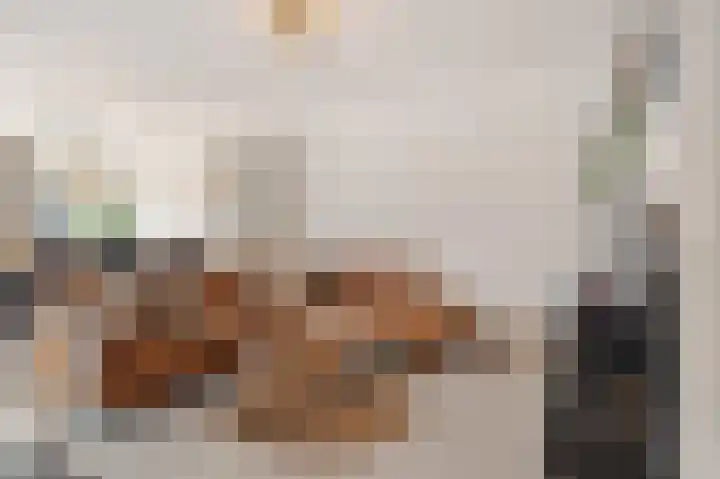 Zadkinerade 22 Capelle aan den IJssel thumbnail 15