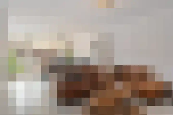 Zadkinerade 22 Capelle aan den IJssel thumbnail 16