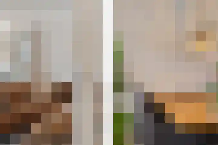 Zadkinerade 22 Capelle aan den IJssel thumbnail 17