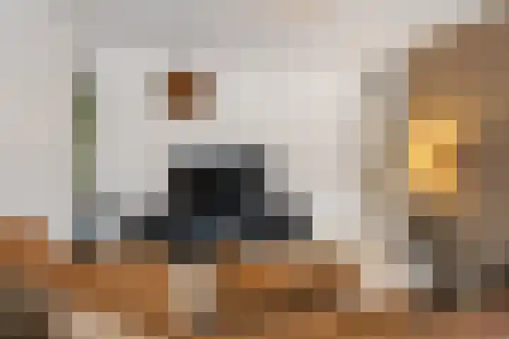 Zadkinerade 22 Capelle aan den IJssel thumbnail 18