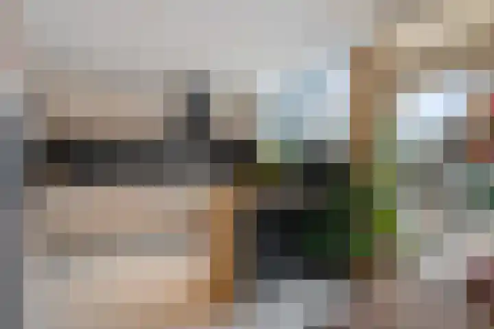 Zadkinerade 22 Capelle aan den IJssel thumbnail 19