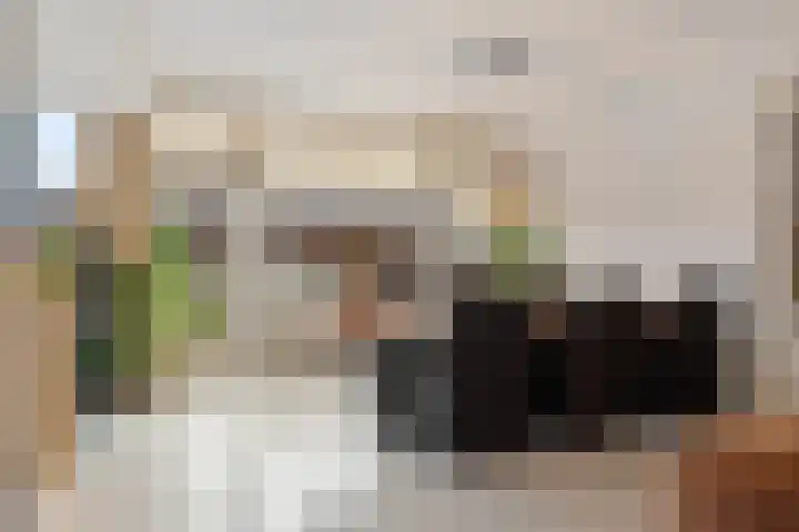 Zadkinerade 22 Capelle aan den IJssel thumbnail 20
