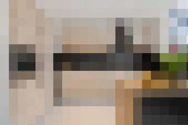 Zadkinerade 22 Capelle aan den IJssel thumbnail 21