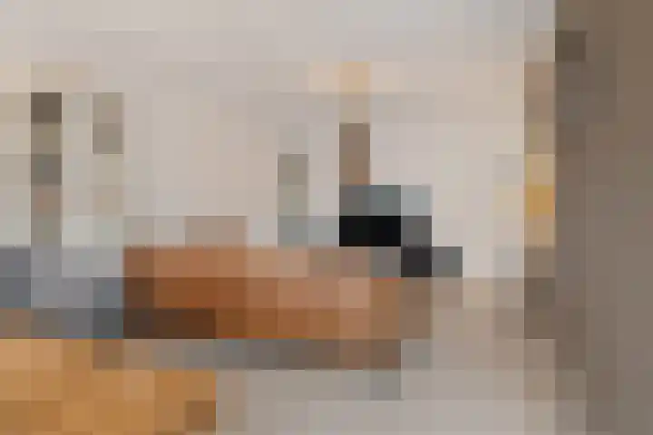 Zadkinerade 22 Capelle aan den IJssel thumbnail 22