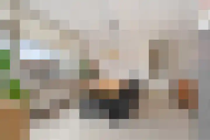 Zadkinerade 22 Capelle aan den IJssel thumbnail 23
