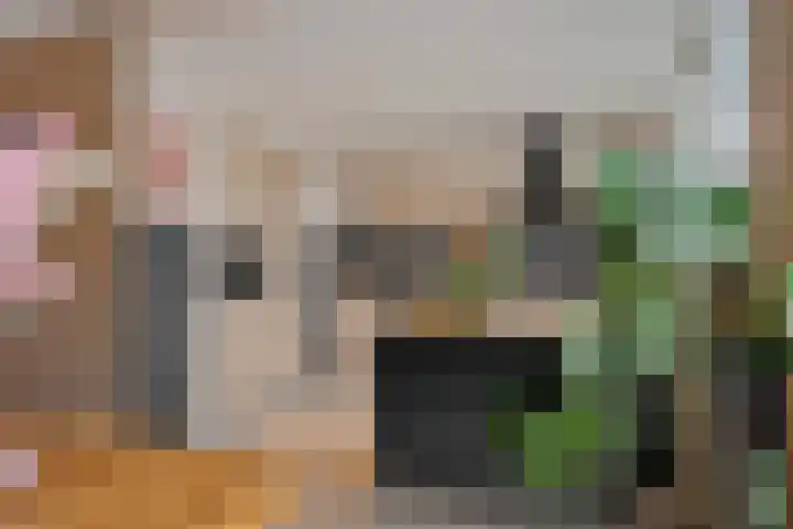 Zadkinerade 22 Capelle aan den IJssel thumbnail 24