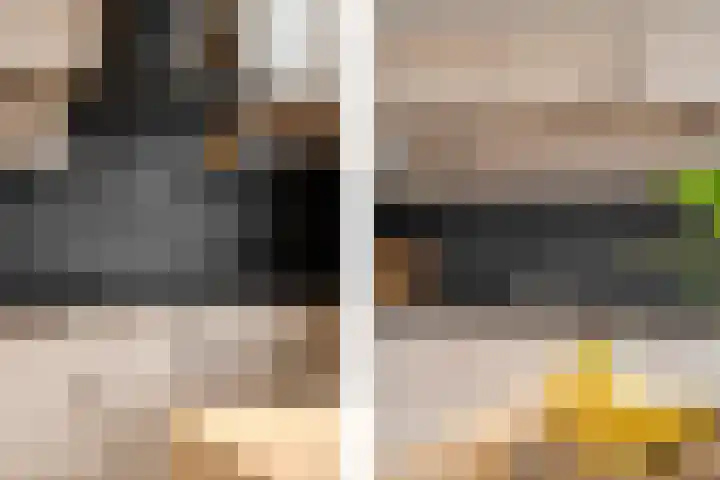 Zadkinerade 22 Capelle aan den IJssel thumbnail 27