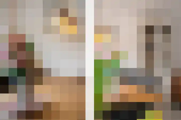 Zadkinerade 22 Capelle aan den IJssel thumbnail 28