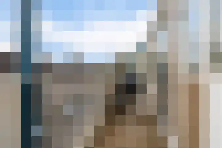 Zadkinerade 22 Capelle aan den IJssel thumbnail 30