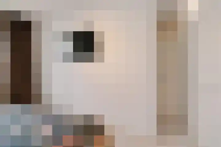Zadkinerade 22 Capelle aan den IJssel thumbnail 34