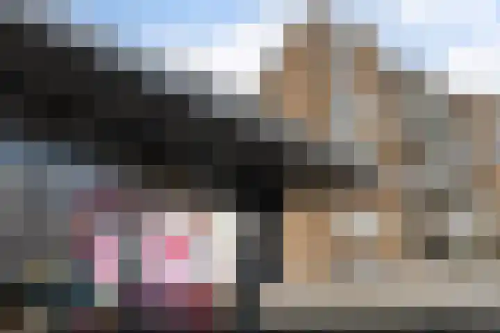 Zadkinerade 22 Capelle aan den IJssel thumbnail 45