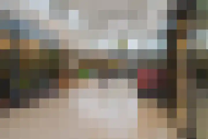 Zadkinerade 22 Capelle aan den IJssel thumbnail 46