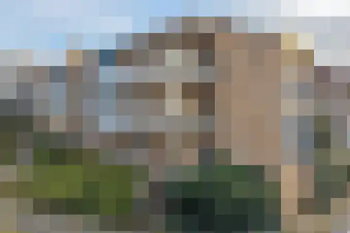 Zadkinerade 22 Capelle aan den IJssel thumbnail 6