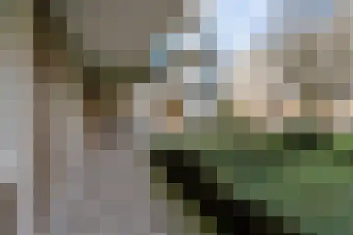 Zadkinerade 22 Capelle aan den IJssel thumbnail 8