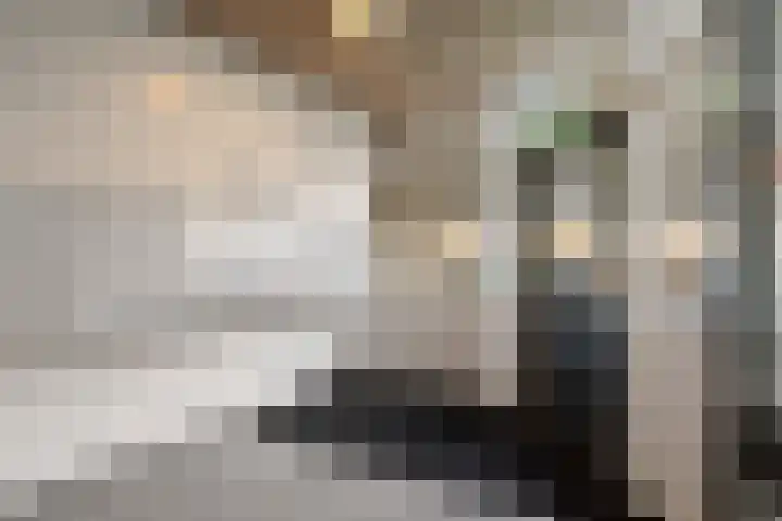 Zadkinerade 22 Capelle aan den IJssel thumbnail 9