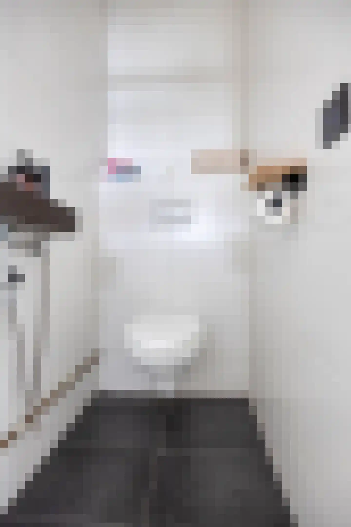 Zadkinerade 24 Capelle aan den IJssel thumbnail 13