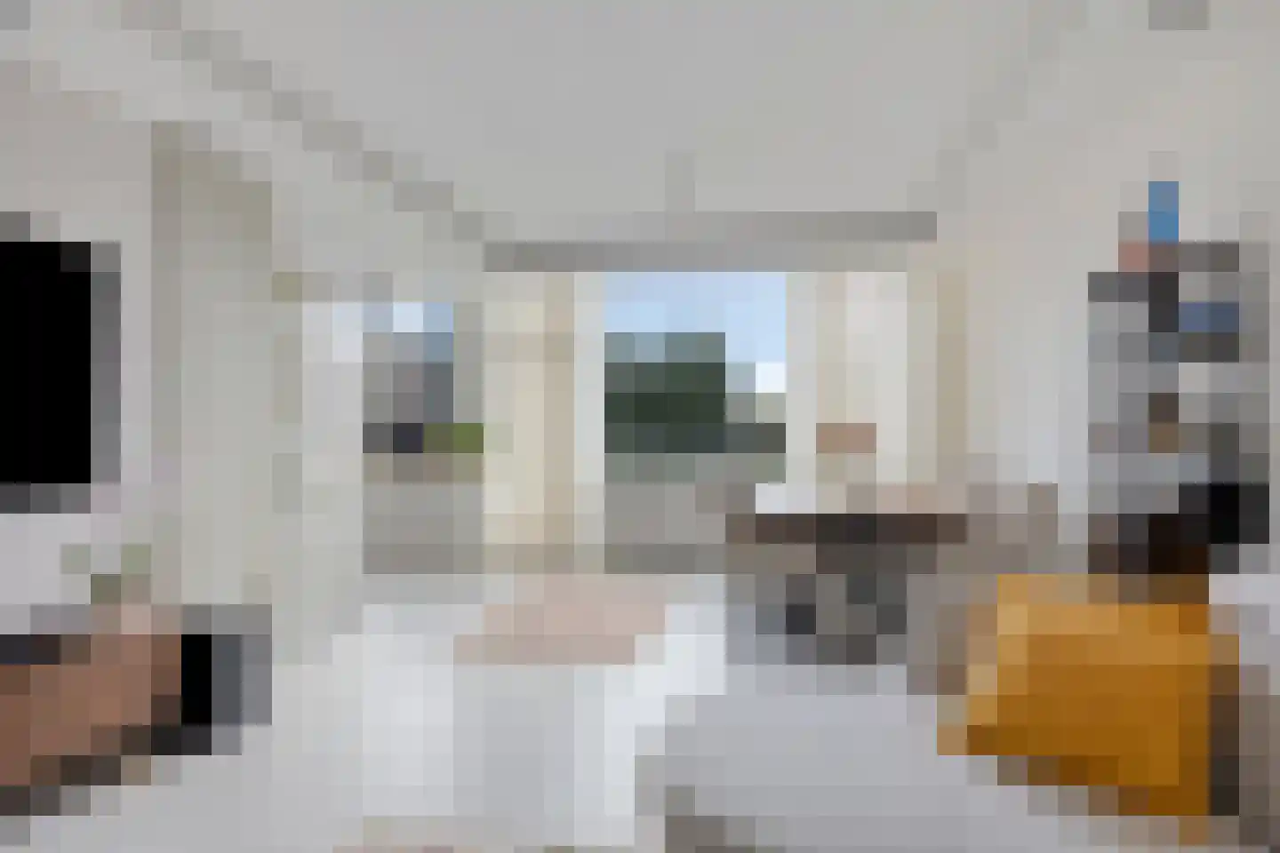 Zadkinerade 24 Capelle aan den IJssel thumbnail 14