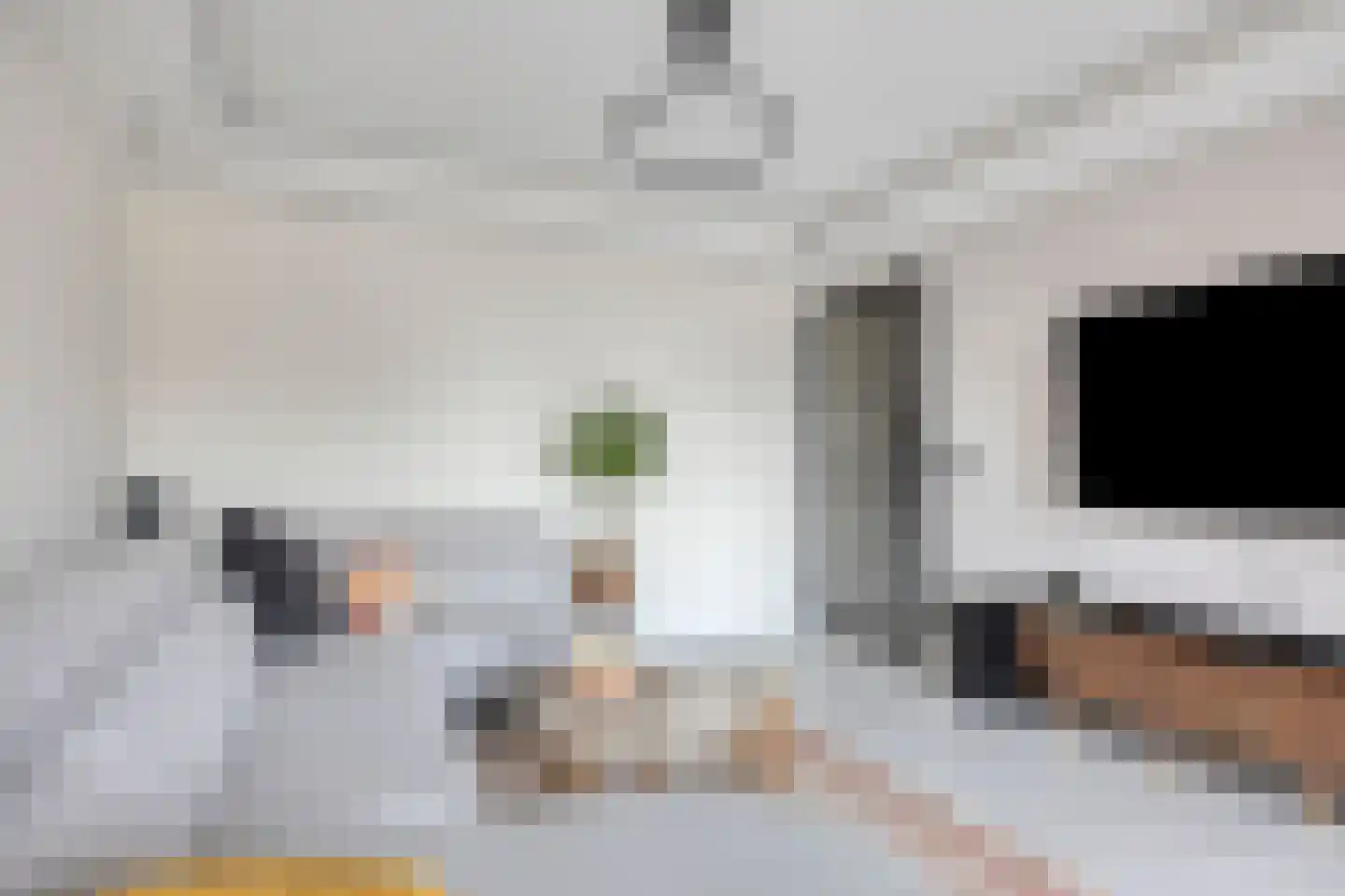 Zadkinerade 24 Capelle aan den IJssel thumbnail 15