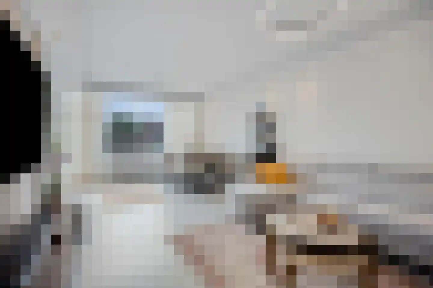 Zadkinerade 24 Capelle aan den IJssel thumbnail 22