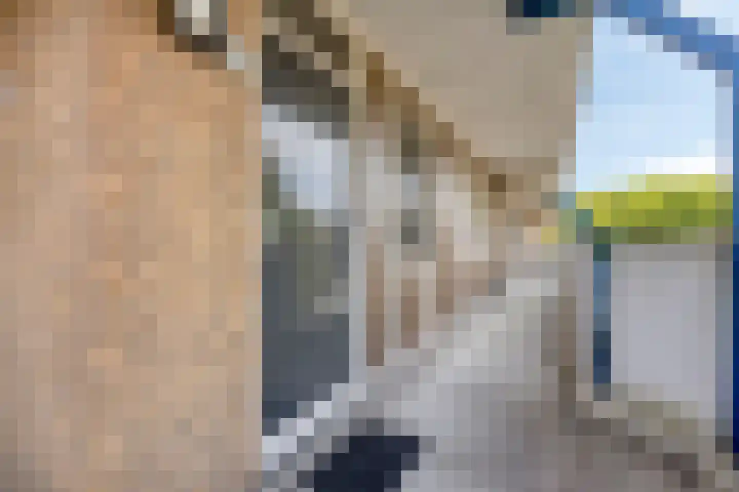 Zadkinerade 24 Capelle aan den IJssel thumbnail 5