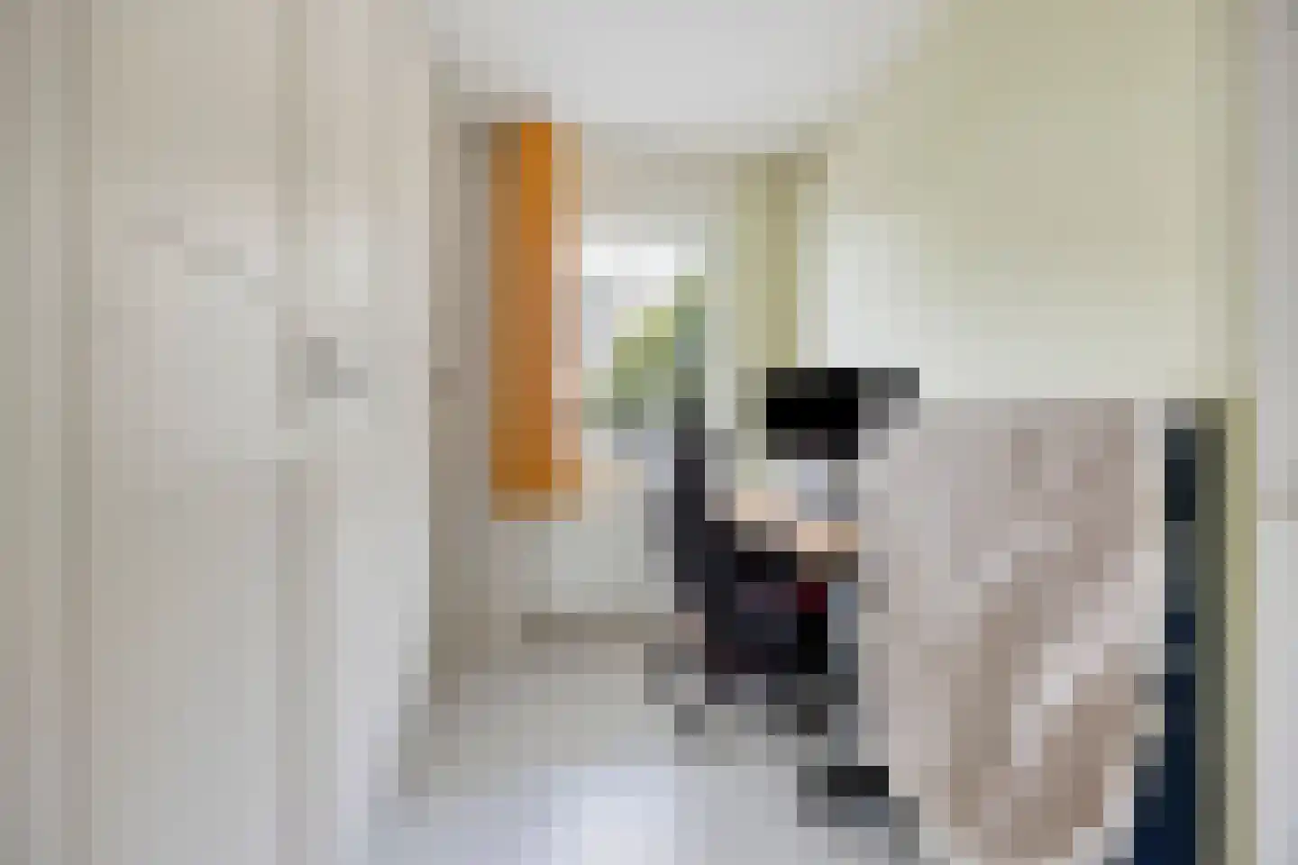 Zadkinerade 24 Capelle aan den IJssel thumbnail 8