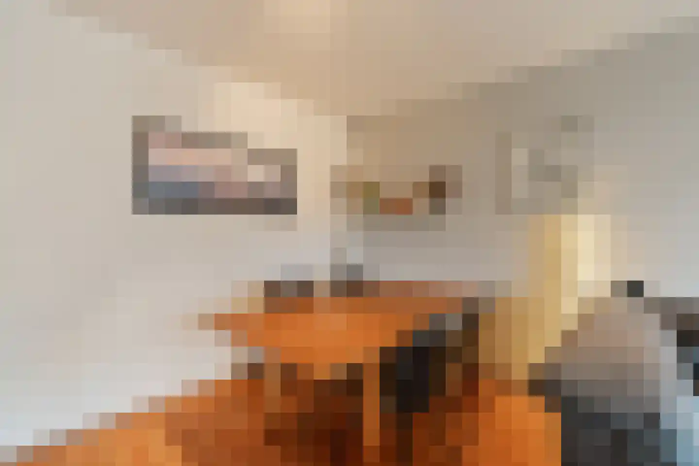 Zadkinerade 25 Capelle aan den IJssel thumbnail 11