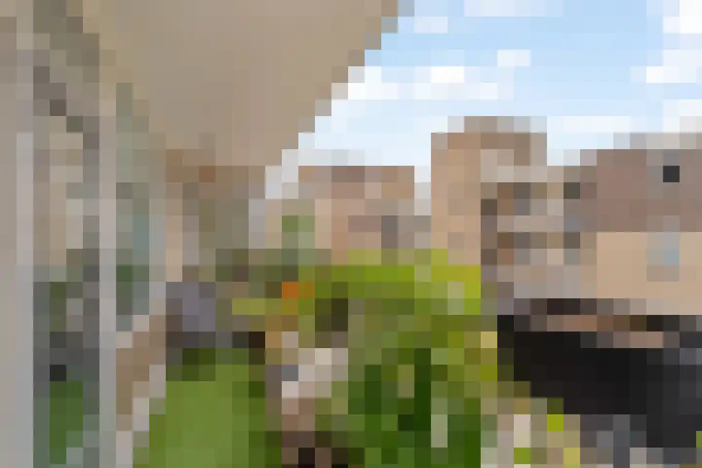 Zadkinerade 25 Capelle aan den IJssel thumbnail 19