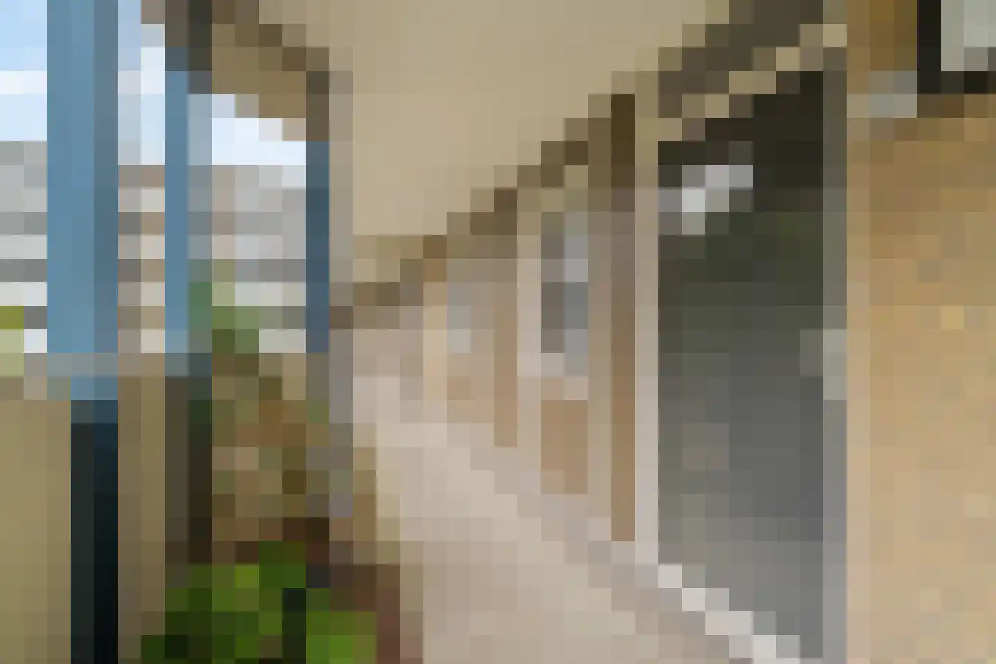 Zadkinerade 25 Capelle aan den IJssel thumbnail 21