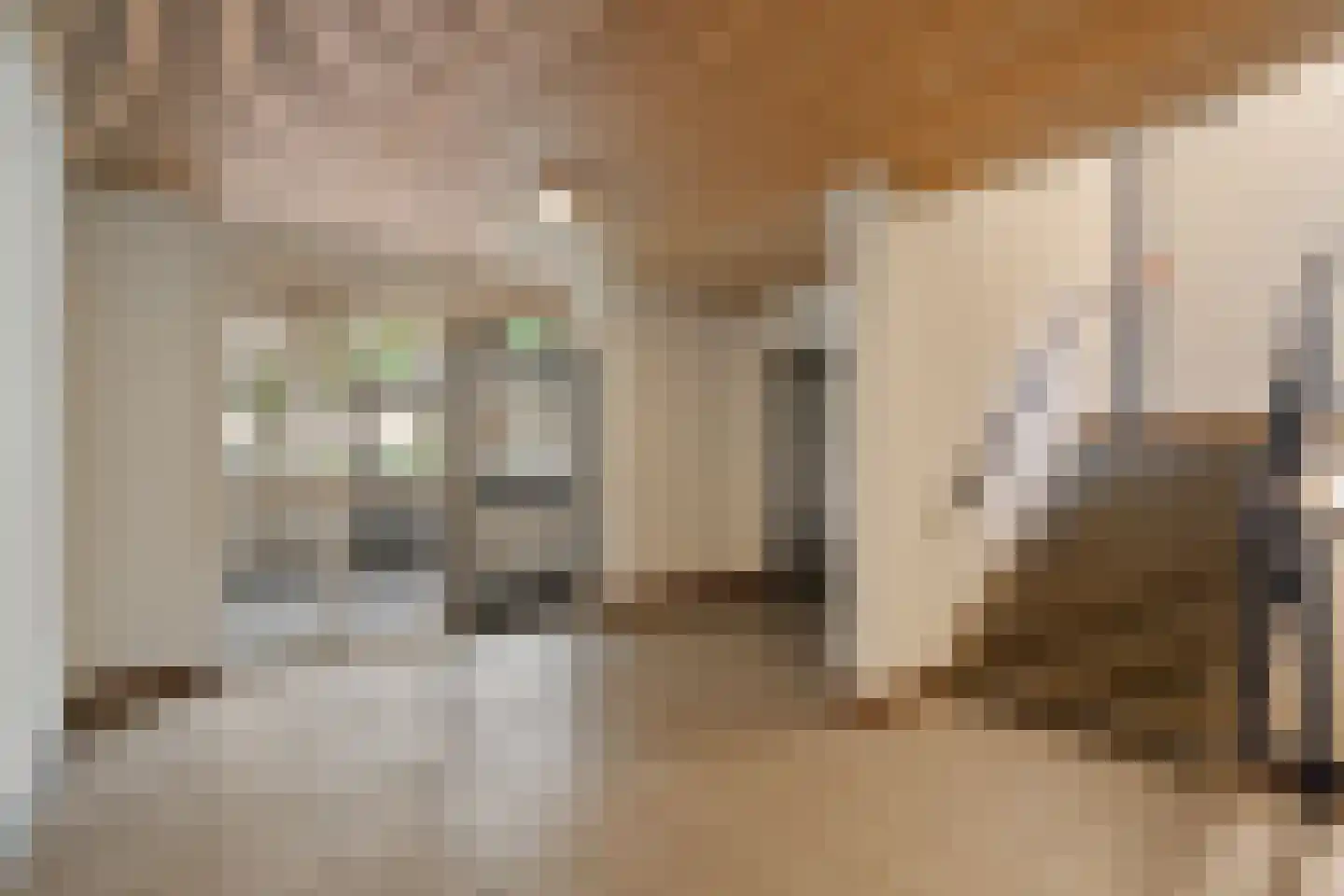 Zadkinerade 25 Capelle aan den IJssel thumbnail 22