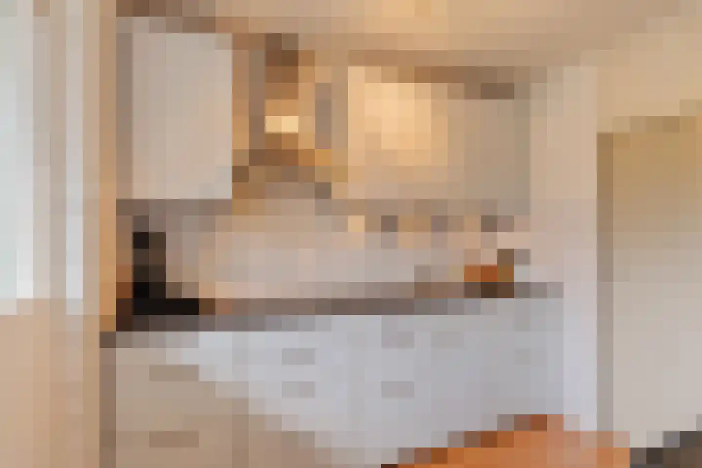Zadkinerade 25 Capelle aan den IJssel thumbnail 4