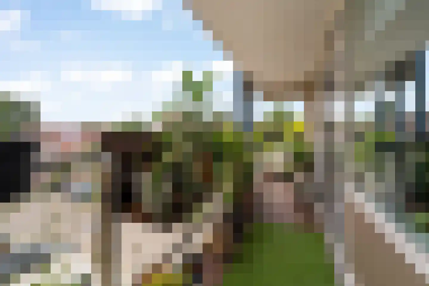 Zadkinerade 25 Capelle aan den IJssel thumbnail 5