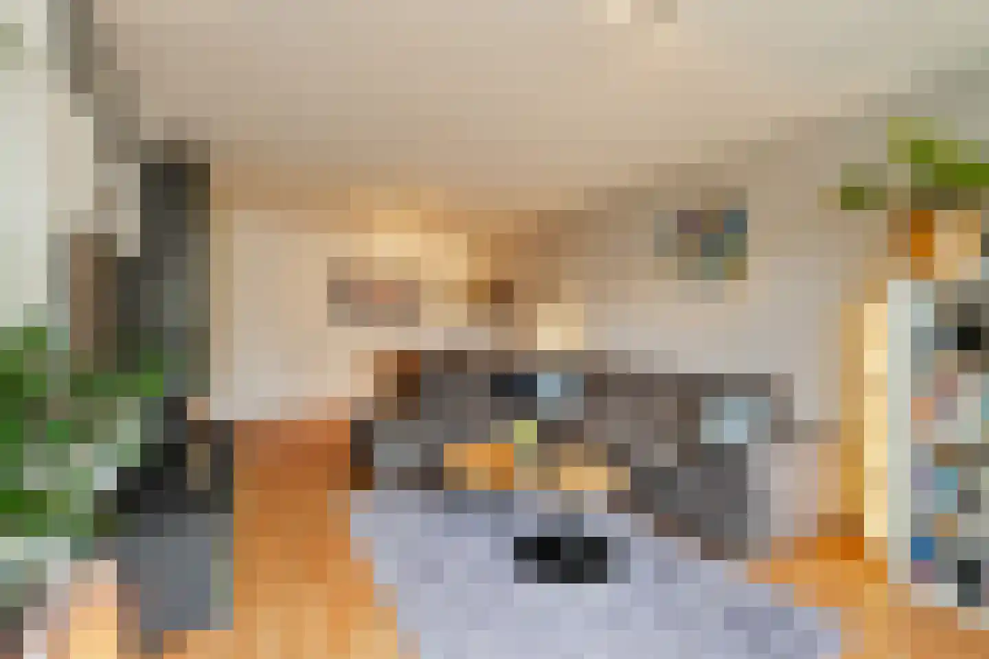 Zadkinerade 25 Capelle aan den IJssel thumbnail 9